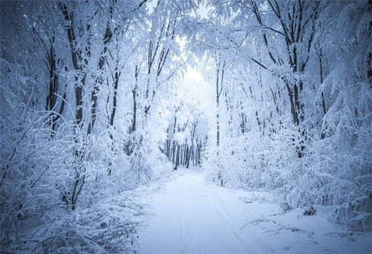 Winter Snow Branches Backdrop for Photography