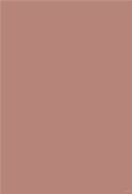 Portrait Solid Color Photography Backdrop for Studio